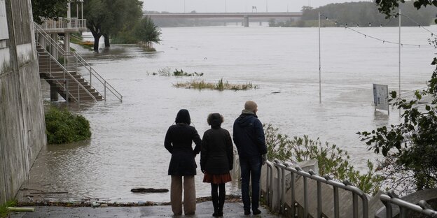 Drei Leute stehen am ufer der vollgelaufenen Donau in Wien Drei Leute stehen am ufer der vollgelaufenen Donau in Wien