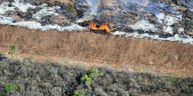 Luftaufnahme, illegale Brandrodung, Stämme, Äste und Zweige des gebrochenen Waldes werden auf den zukünftigen Soja-Feldern im Gran Chaco verbrannt, Salta, Argentinien, Südamerika Reisen Gesellschaft Luftaufnahme Rodung Luftaufnahme, illegale Brandrodung, Stämme, Äste und Zweige des gebrochenen Waldes werden auf den zukünftigen Soja-Feldern im Gran Chaco verbrannt, Salta, Argentinien, Südamerika Reisen Gesellschaft Luftaufnahme Rodung