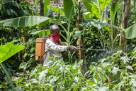 Fachmagazin zieht Analyse zurück: Streit über Studie zu massenhaften Pestizidvergiftungen