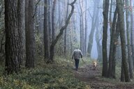 Wald und Stille: Vom Glück, schweigend spazieren zu gehen