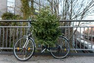 Ende der scheinheiligen Zeit: Hilfe, es weihnachtete zu sehr