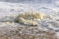 Gefährliche Stoffe in Alltagsprodukten: Frankreich verbietet Ewigkeitschemikalien weitgehend