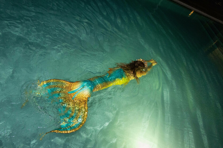 Kinder fragen, die taz antwortet: Wie pinkeln Meerjungfrauen?