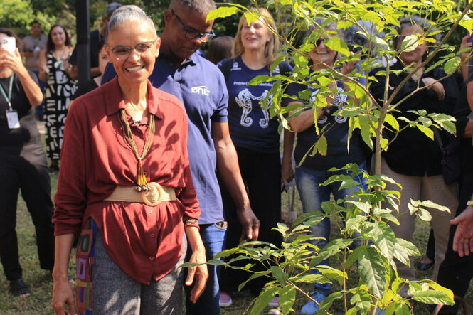 Marina Silva bei einer Baumpflanzaktion.