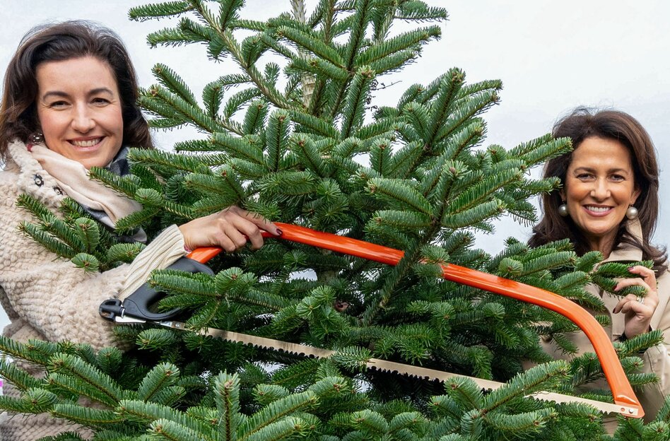 Die Wahrheit: Plappern mit der Spaßmamsell