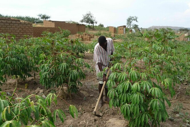 Ein Mann arbeitet auf einem Feld