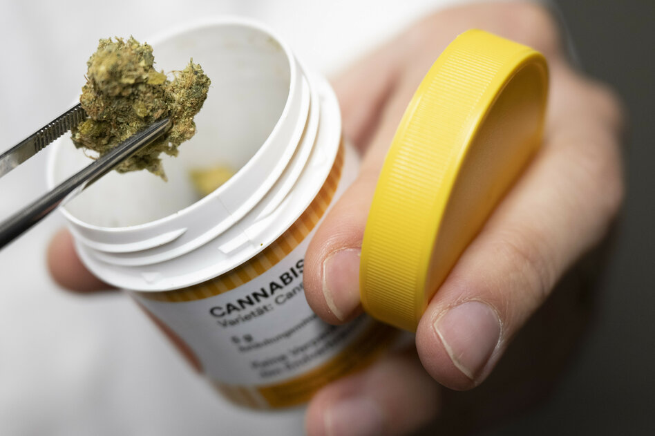 Neue Cannabis-Nutzergruppe geschaffen: Der Online-Rausch