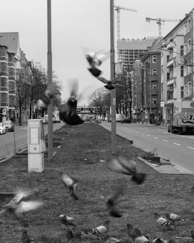 Blick in die Sonneallee.