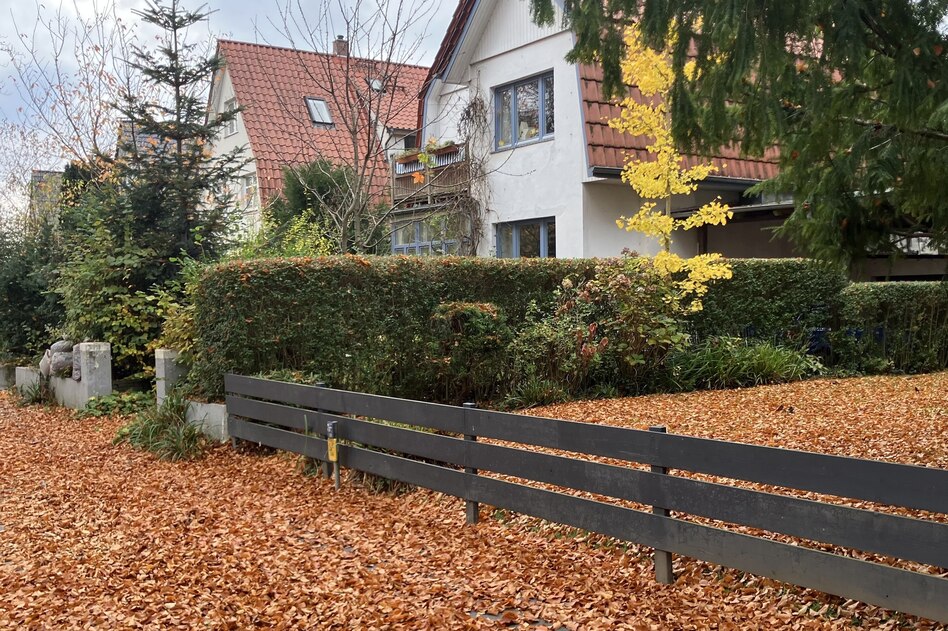 Blätter-Entsorgung in Hamburg: Abzocke bei Laubsäcken