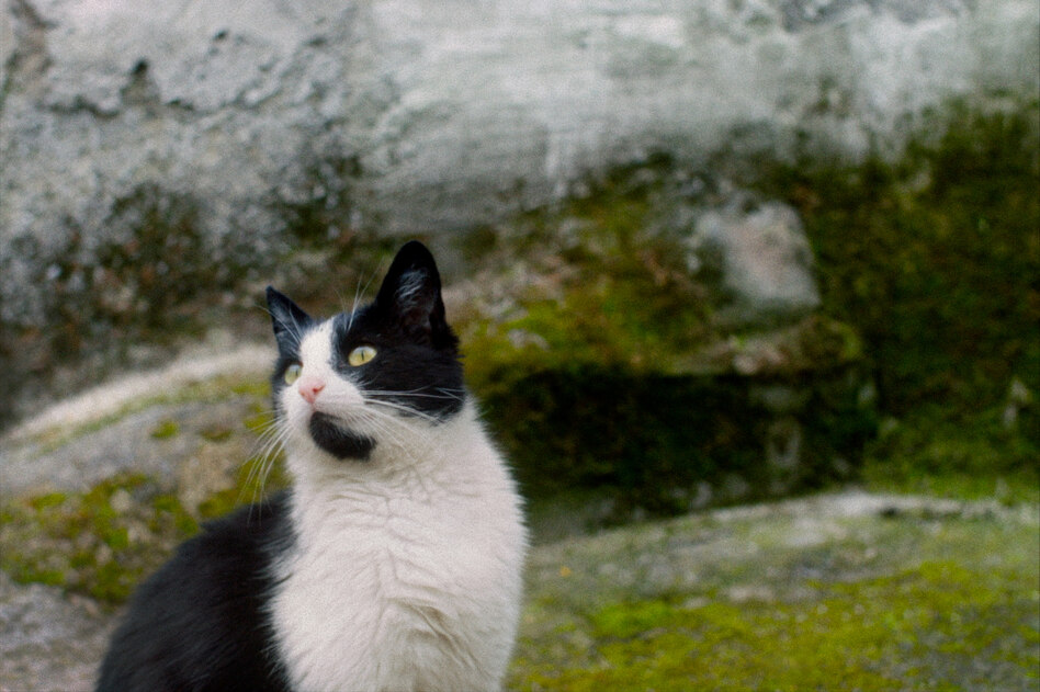 Dokumentarfilm „Stille Beobachter“: Die Maßstäbe verschieben sich