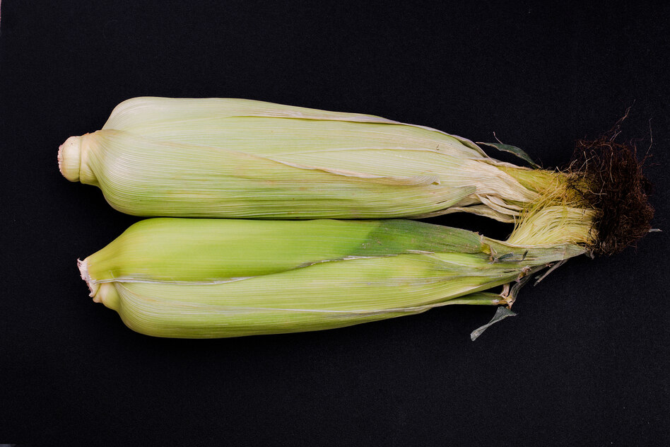 EU-Einigung zu Gentechnik-Lebensmitteln: Deal auf Kosten der VerbraucherInnen