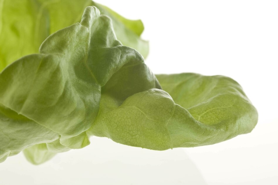 Studie zu gesundem Leben: Andere machen mehr gegen Alkohol, Tabak und schlechtes Essen