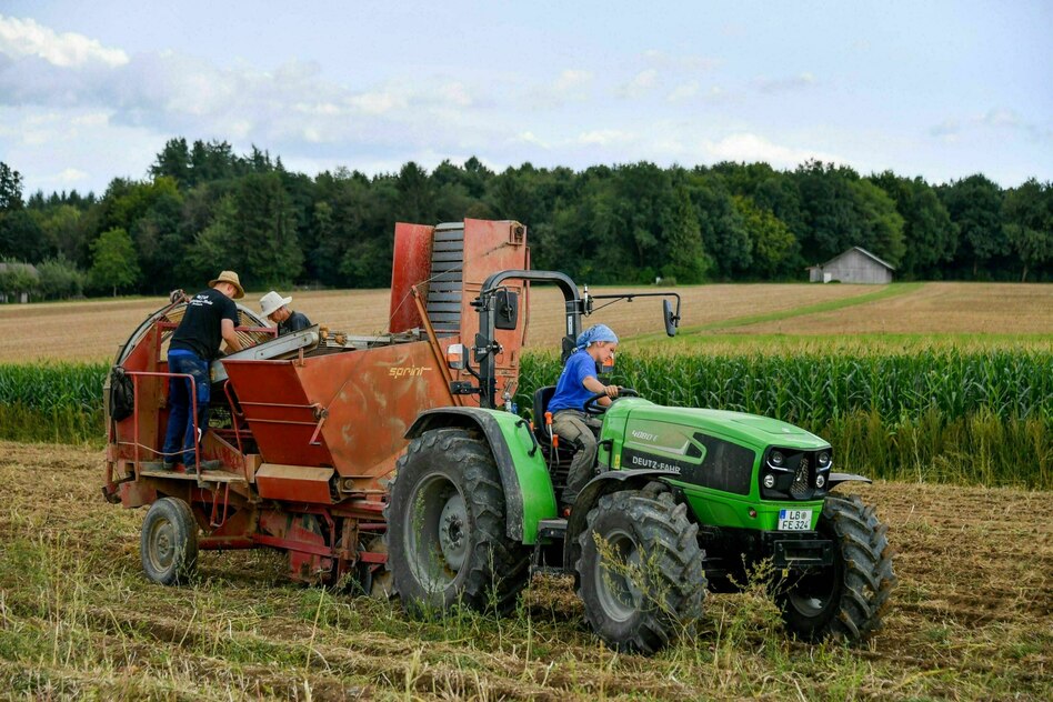 Umsatz mit Ökolebensmitteln 2025: Bio stark gewachsen – aber nicht auf Deutschlands Feldern