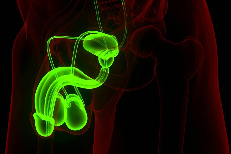 Weihnachten: Warum über die Feiertage erhöhte Penisbruch­gefahr besteht