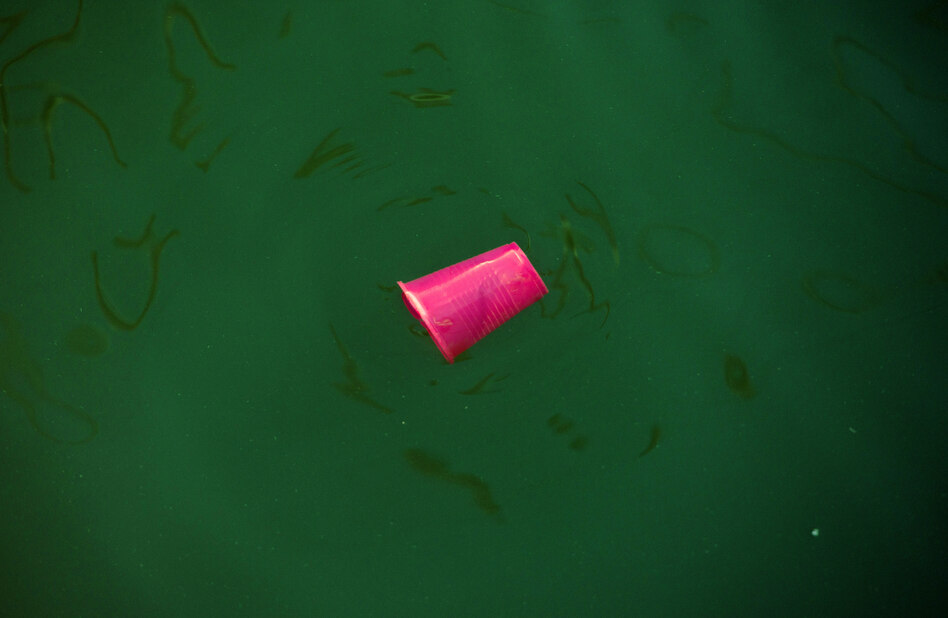 Zu viele Schadstoffe im Wasser: Ungewöhnliche Rettungsallianz für die belastete Ostsee