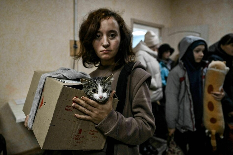 1.436 Tage Krieg in der Ukraine: Kein Tier soll zurückbleiben