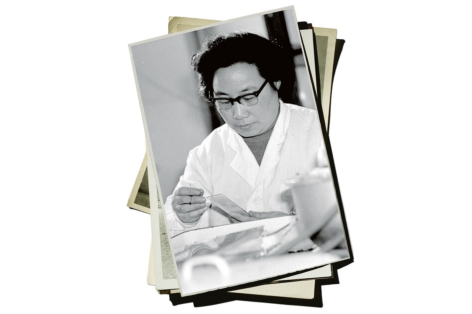 Medizingeschichte: Als gegen Malaria ein Kraut gewachsen war