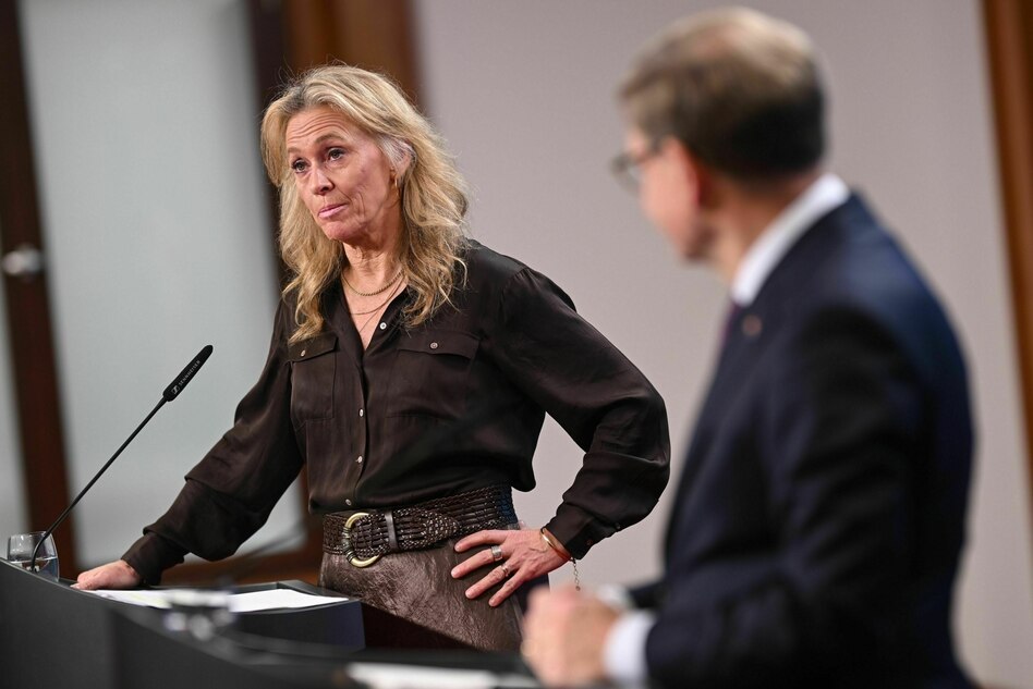 Island als nächstes EU-Mitglied?: Isländische Außenministerin will schnelles Referendum