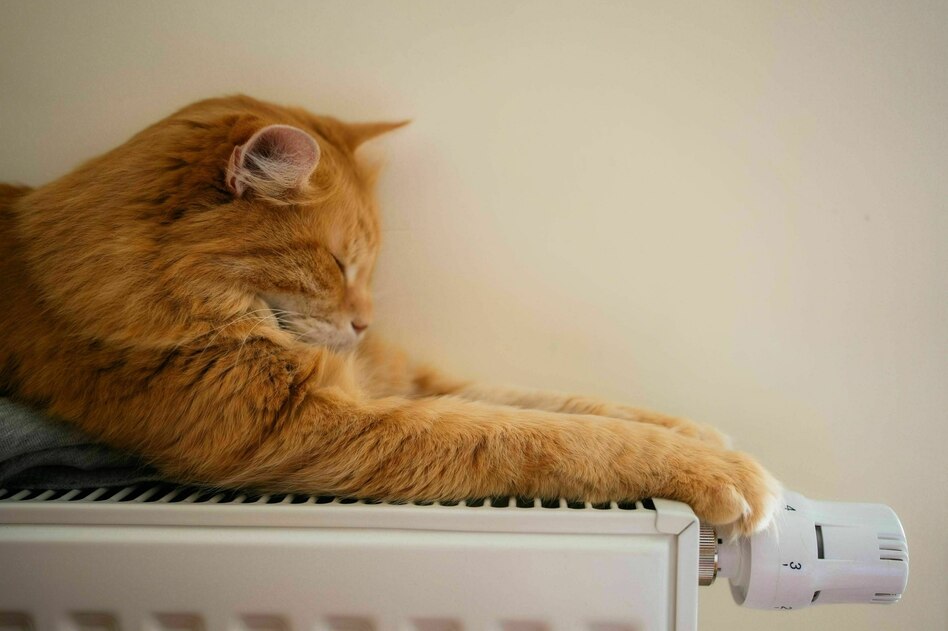 Reform des Heizungsgesetzes: Ein bisschen Grün muss sein