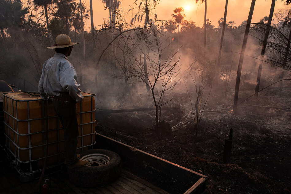 Studie zu Folgen des Klimawandels: Tage mit hohem Waldbrandrisiko haben sich fast verdreifacht