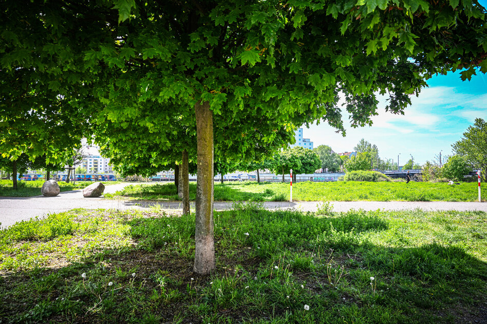 Dating über 40: Der schöne Sch-Laut