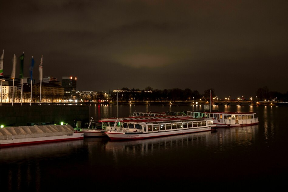 Wolf beißt Frau: Es wird hart für den Wolf