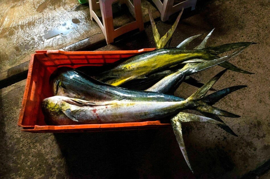 Ammoniakfabrik in Mexiko: Menschenrechte? Hier nicht