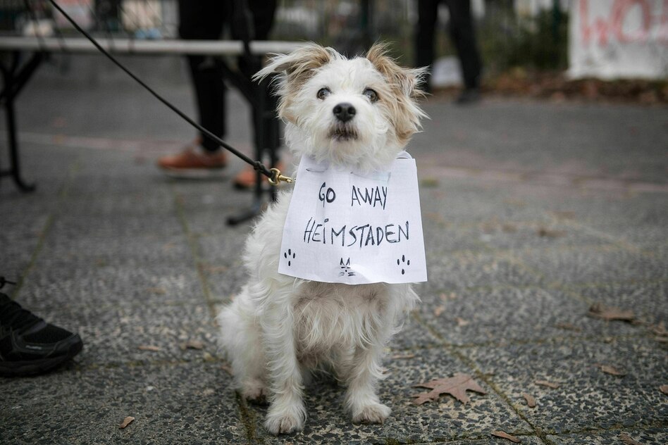 Geschäftsmodell von Heimstaden: Wetten, dass die Miete steigt?