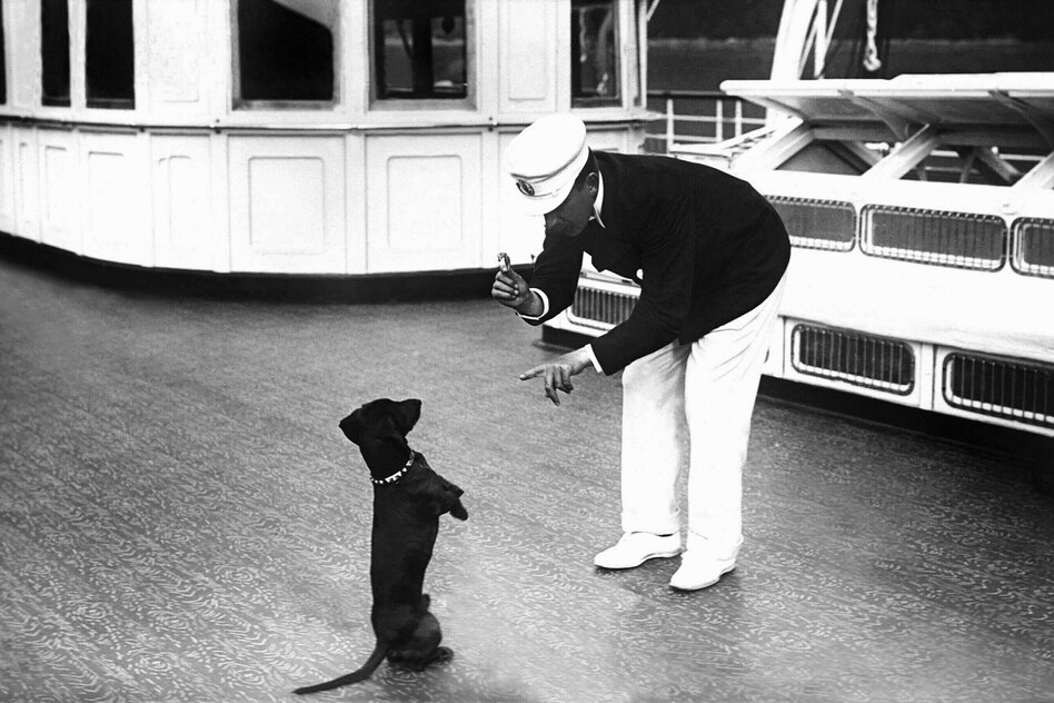 Was sollen Museen ausstellen?: Im Zweifel für den Dackel