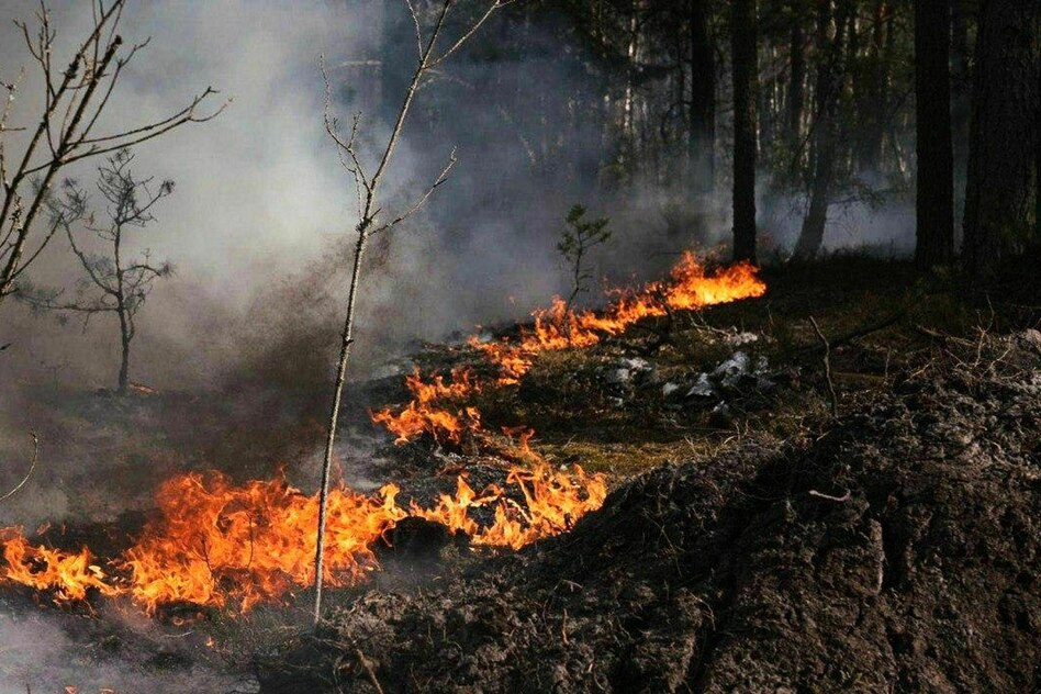 Brand ums AKW Tschornobyl: Feuer in der Sperrzone