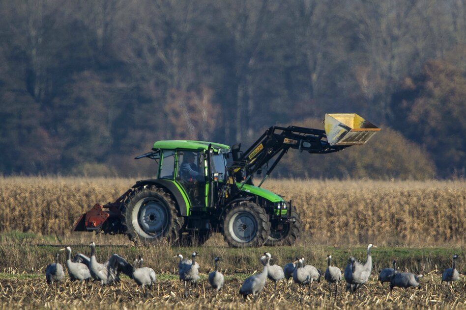 Debatte über Wiedervernässung: Ein Diskurs, der Landwirte ausklammert