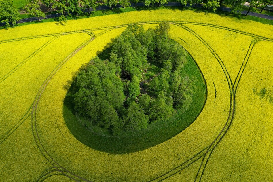 Studie zu Reform der EU-Agrarzahlungen: Agrarbetrieben im Osten droht Verlust hoher Subventionen