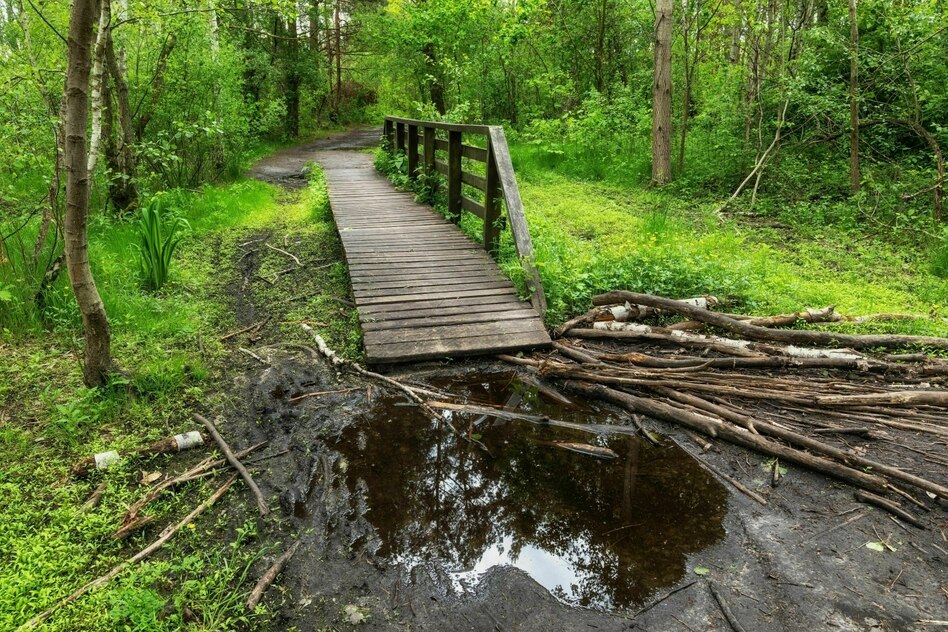 Geheimdienste und Artensterben: „Streitkräfte tragen noch mehr zum Klimawandel bei“