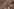 Ein Satellitenbild einer zerstörten Stadt