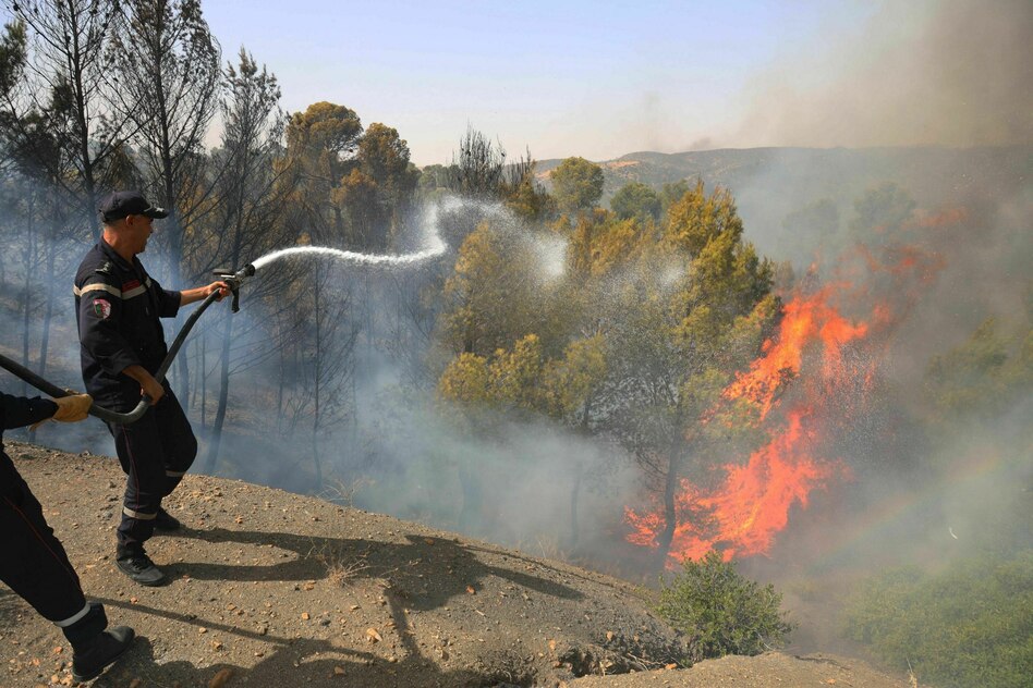 Rekordhitze in Nordafrika: Der Hotspot des Klimawandels