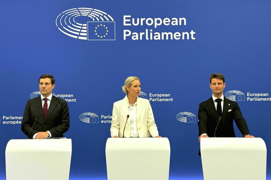 AfD-Pläne für Europa: Rechtsextremes Schredderprogramm