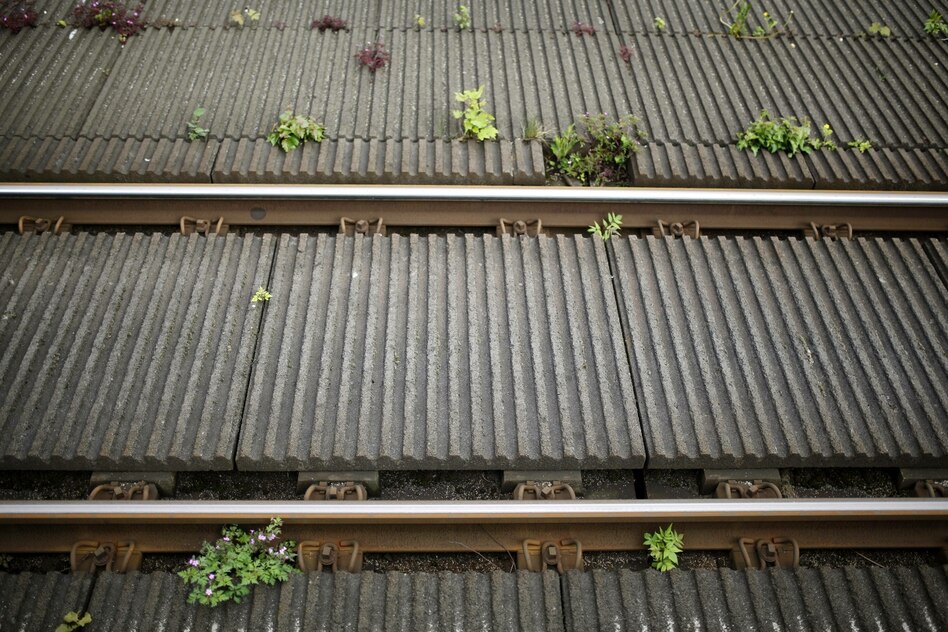 Beseitigung von Wildwuchs am Gleis: Deutsche Bahn will wieder Glyphosat spritzen